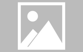 临邑制作网站发布信息（网站如何发布信息）